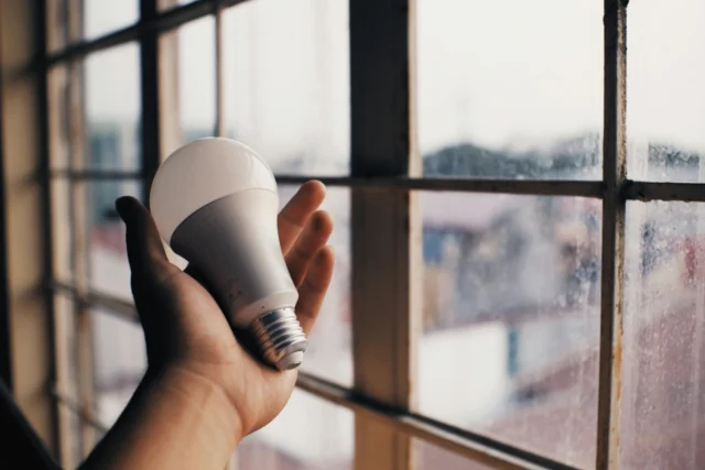 Holding a lightbulb inside a home in front of large windows